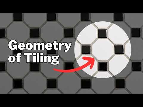 How Curvature Creates Strength AND Flexibility